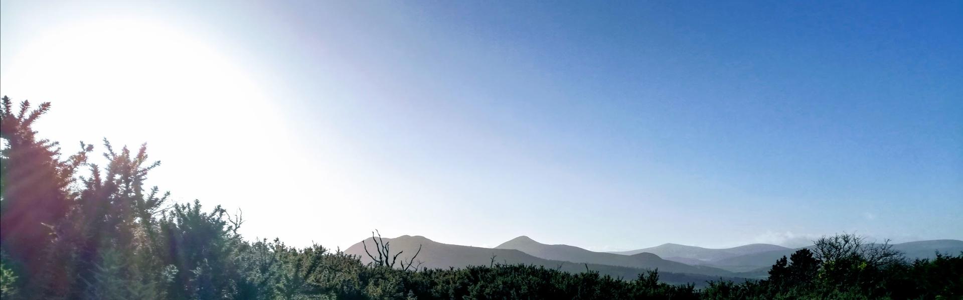 Zicht vanop Bray Top, struiken net onder rotsen en top, op de Wicklow Mountains op een heldere en zeer koude winterdag. Blauwe lucht en zonlicht dat van links over de foto valt.