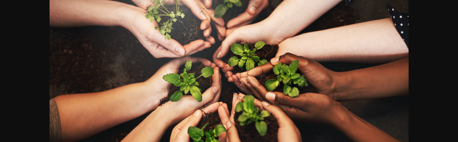 Handen (verschillende huidskleuren) met plantjes tegen elkaar als bloemblaadjes die samen een ronde bloem vormen.