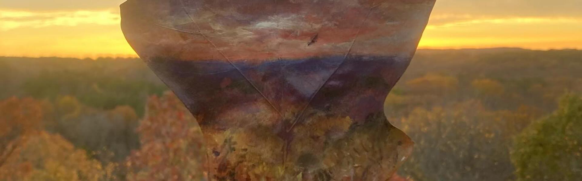 Op een eikenblad schilderde Natalie Rotramel het panorama dat ze voor zich zag van een uitgestrekt nationaal park bij zonsopgang.