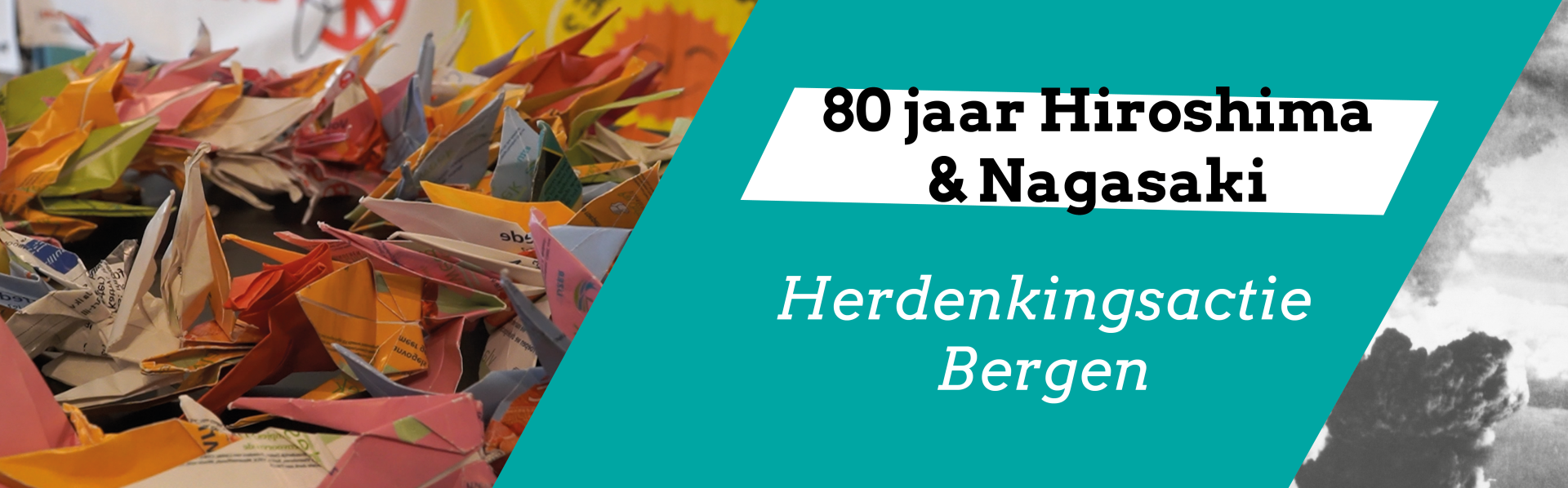 Banner kraanvogels