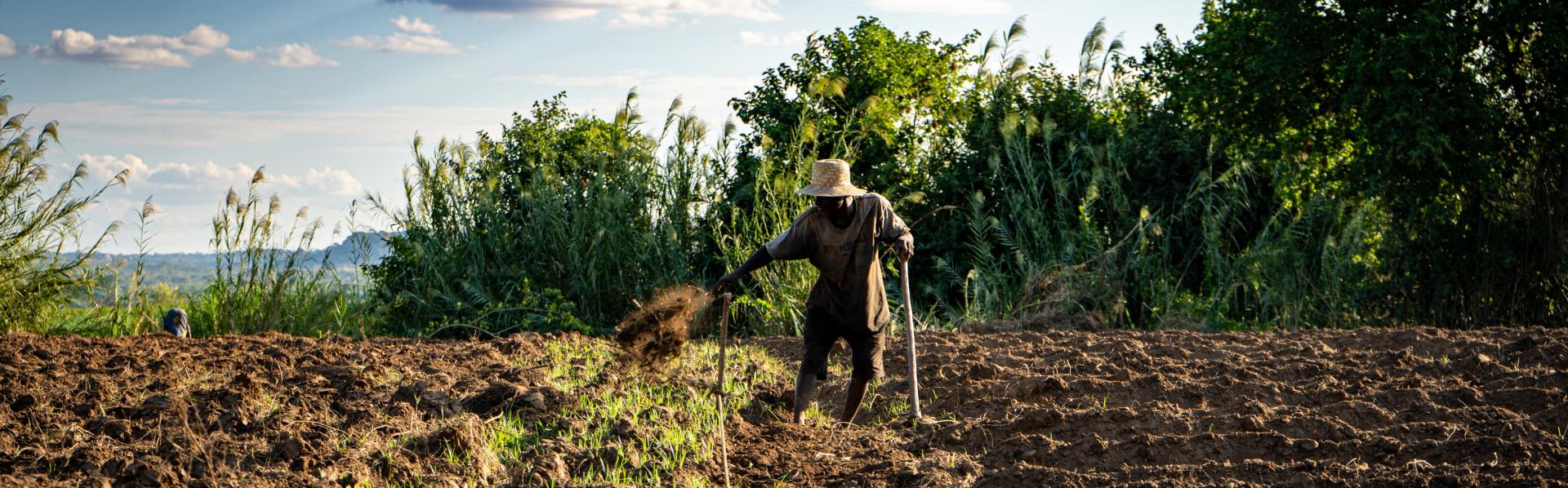 Boer in Malawi