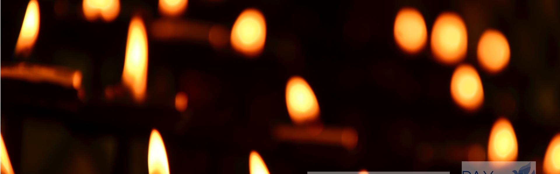 Pax Christi Vlaanderen / International