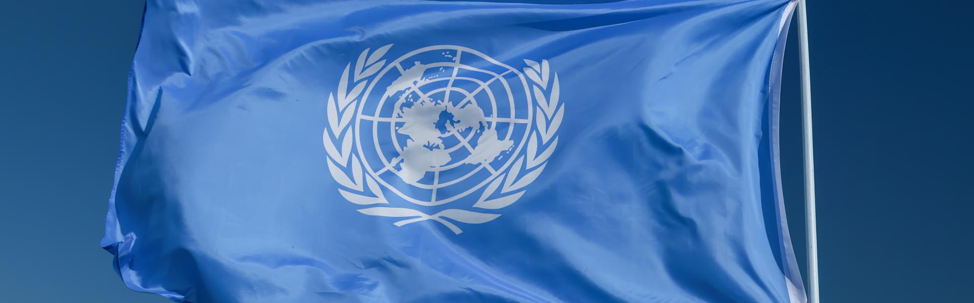 Vlag UN