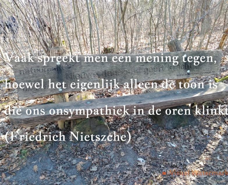 Afbeelding bank in winters bos. Zon, bladeren op de grond. De rug van de bank heeft de inkerving: Nieuwe dageraad geeft kracht.  Tegelspreuk: Vaak spreekt men een mening tegen, hoewel het eigenlijk alleen de toon is die ons onsympathiek in de oren klinkt. (Friedrich Nietszche)