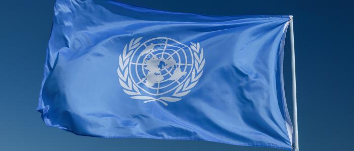 Vlag UN
