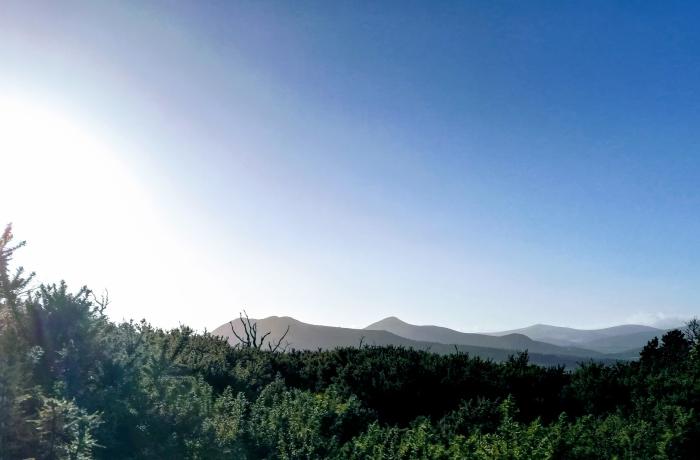 Zicht vanop Bray Top, struiken net onder rotsen en top, op de Wicklow Mountains op een heldere en zeer koude winterdag. Blauwe lucht en zonlicht dat van links over de foto valt.