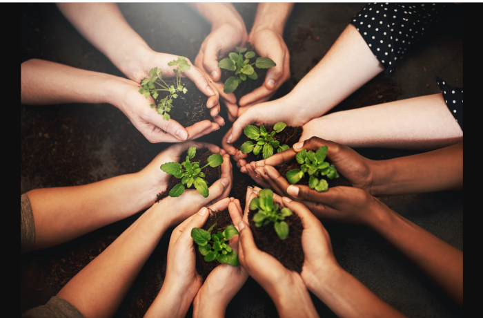 Handen (verschillende huidskleuren) met plantjes tegen elkaar als bloemblaadjes die samen een ronde bloem vormen.