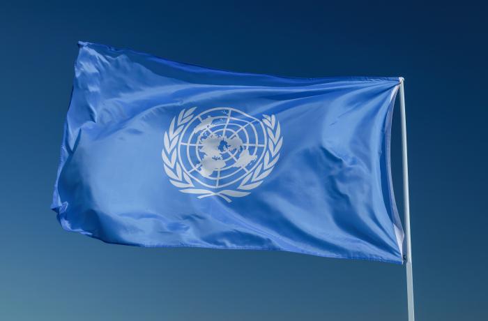 Vlag UN