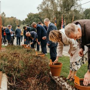 Essen Boomplantactie