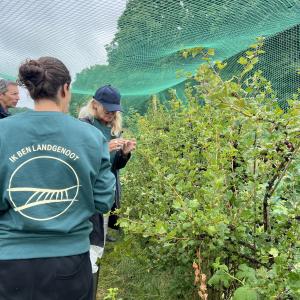 Peacelab met De Landgenoten