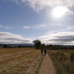 Vézelay 16